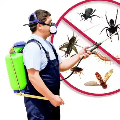 pest control Lake Waccamaw
